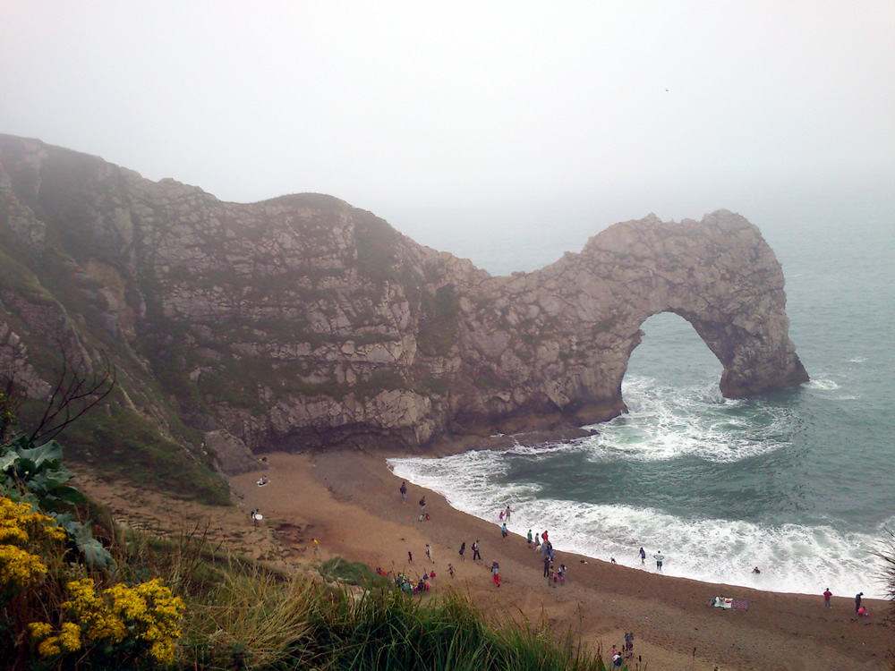 �E�F�C�}�X