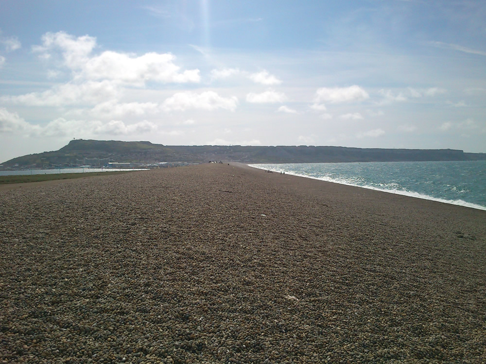 �E�F�C�}�X