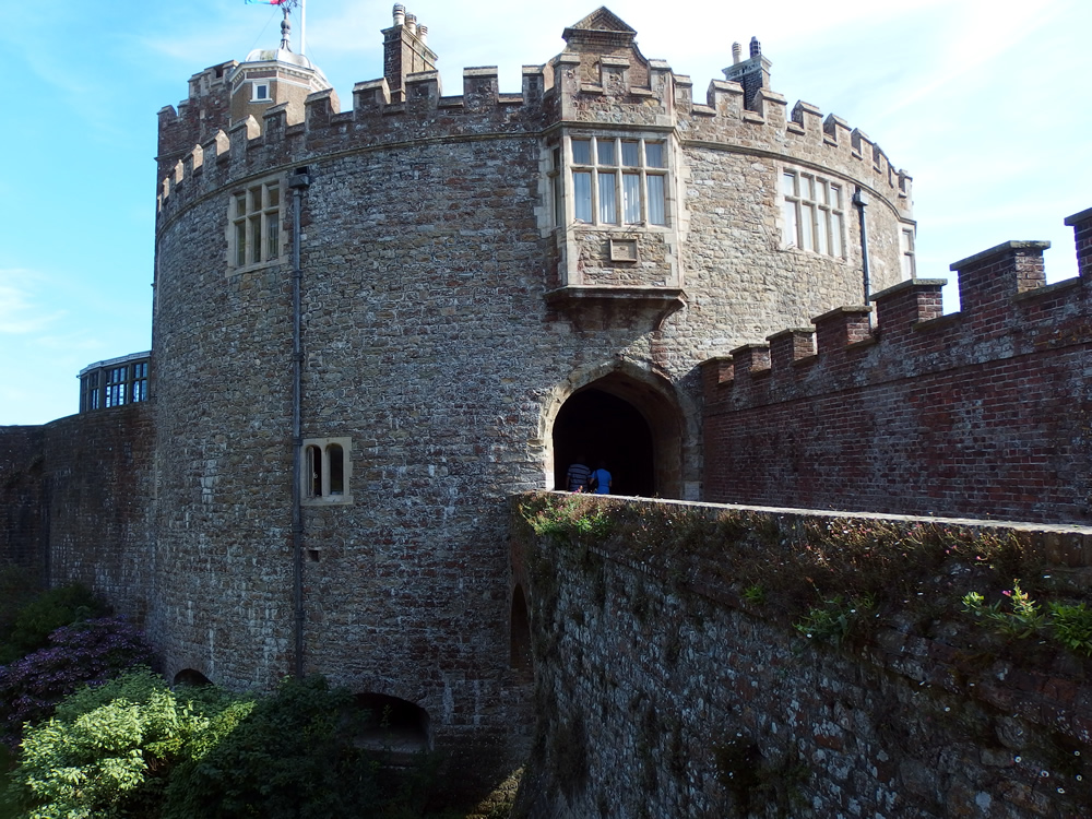 �E�F�C�}�X