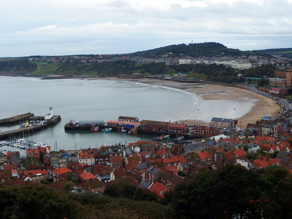 �E�F�C�}�X