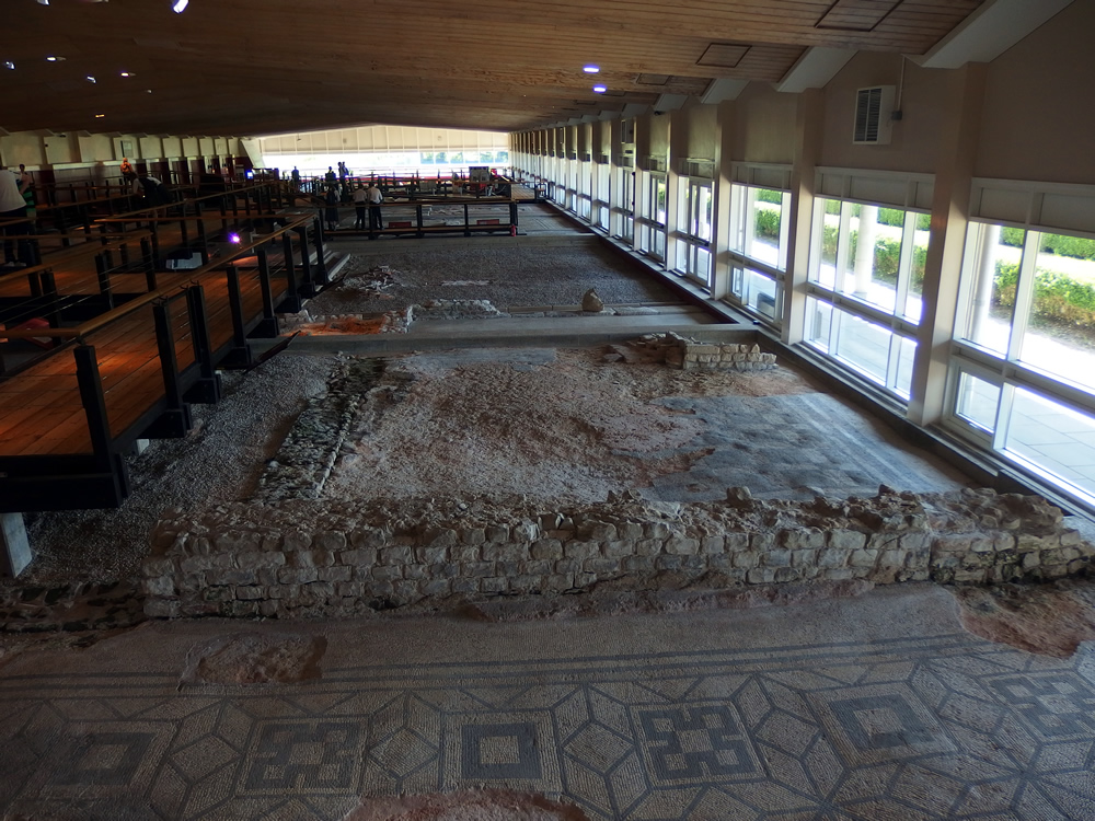 �E�F�C�}�X