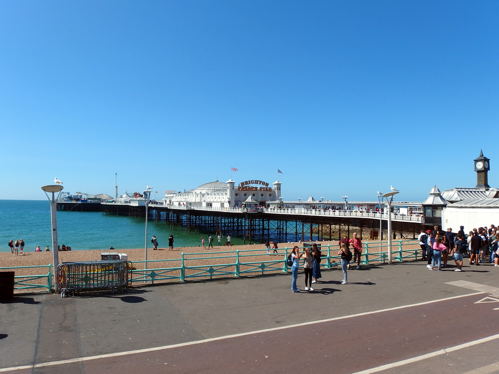 �E�F�C�}�X