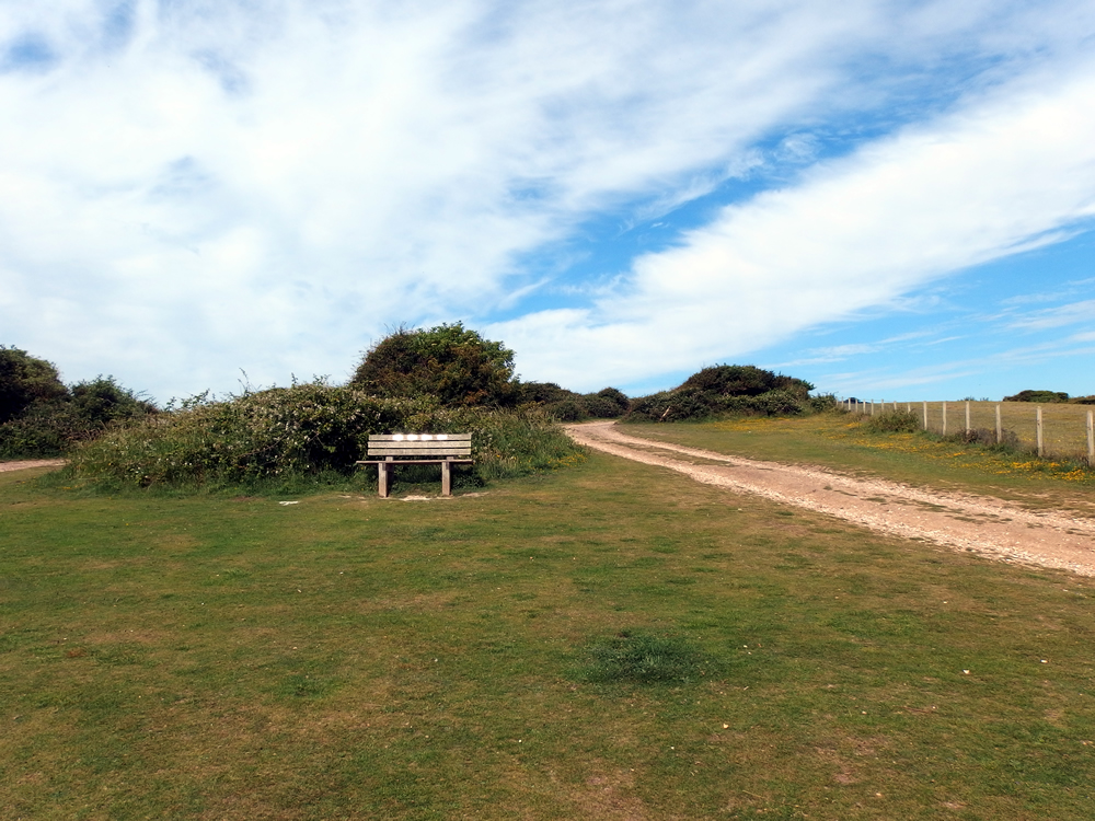 �E�F�C�}�X